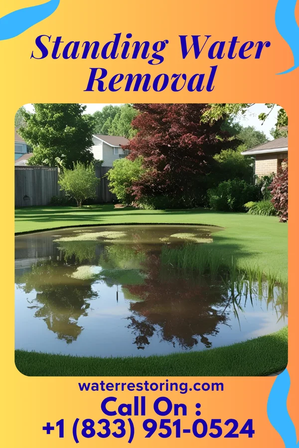 Standing Water Removal in Curryville, MO